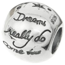 925 Sterling Silver Dream Comes True CZ Crystal Heart European Bead Charm