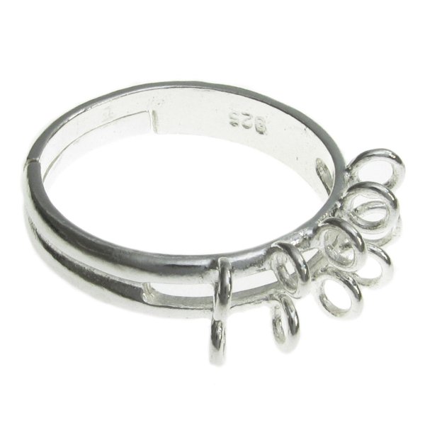 1 x BRIGHT STERLING SILVER Ring Case (10 holes)