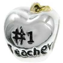 14k Gold 925 Sterling Silver Greatest Teacher Apple Fruit of Knowledge Enamel European Bead Charm