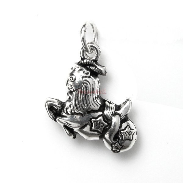 1 x 925 Sterling Silver Capricorn Zodiac Horoscope Star Dangle Charm Pendant