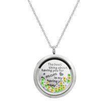 1x Stainless Steel Mother Lover Family Round Floating Locket Crystals Chain Necklace Pendant 30mm