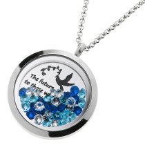 1x Stainless Steel Dream and Believe Round Floating Crystal Chain Necklace Pendant 30mm