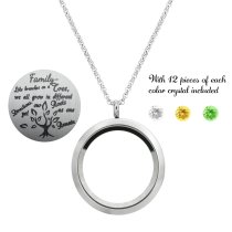 1x Stainless Steel Family Tree Round Floating Locket Crystal Chain Necklace Pendant 30mm
