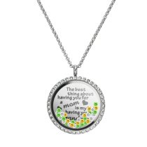 1x Stainless Steel Mother Lover Family Round Floating Locket Crystals Chain Necklace Pendant 30mm