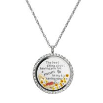 1x Stainless Steel Love Mother Family Round Floating Locket Crystals Charm Chain Necklace Pendant 30mm