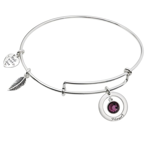 925 Sterling Silver Birthstone February Purple Crystal Charm Adjustable Wire Bangle Bracelet