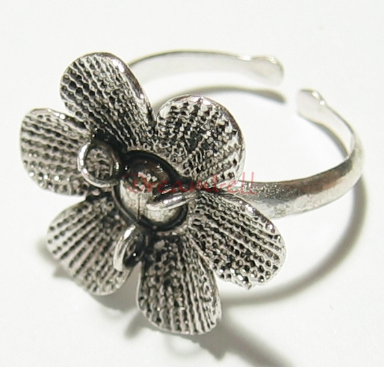 Ring Cases