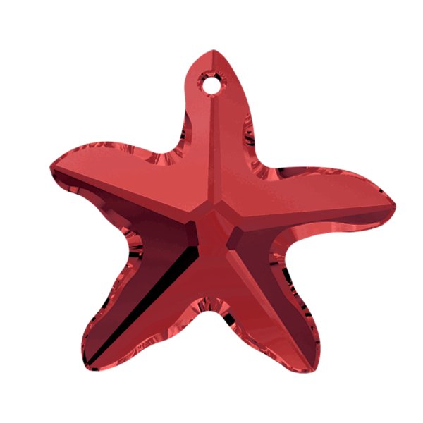 6721 Starfish 6721 Starfish