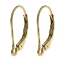 2x 14K Gold Filled Interchangeable Leverback earwires Lever back