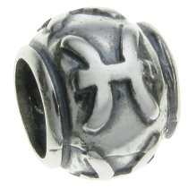 Sterling Silver Zodiac PISCES Bead Tube for European Charm Bracelets