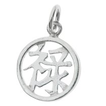 1x Sterling Silver Chinese Word ″TREASURE″ Dangle Charm Bead 11mm