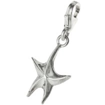 STERLING SILVER TWINKLE STAR FISH CHARM PENDANT for European Style Clip on Charm