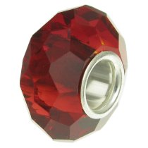 Sterling Silver BIRTHSTONE Crystal European Bead charm January